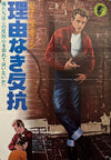 Original 1978 - Rebel Without A Cause  -  World Cinema Japanese B2 Re-Issue Poster
