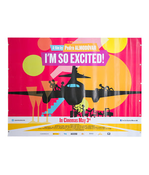 I'm So Excited - 2013 - Original UK Quad